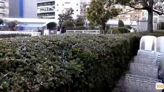 世界上真的有龙吗97年极品网红无套后入